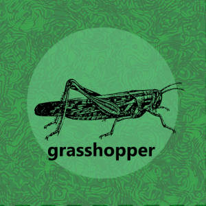 Meadow: Grasshopper