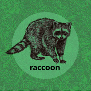 Meadow: Raccoon